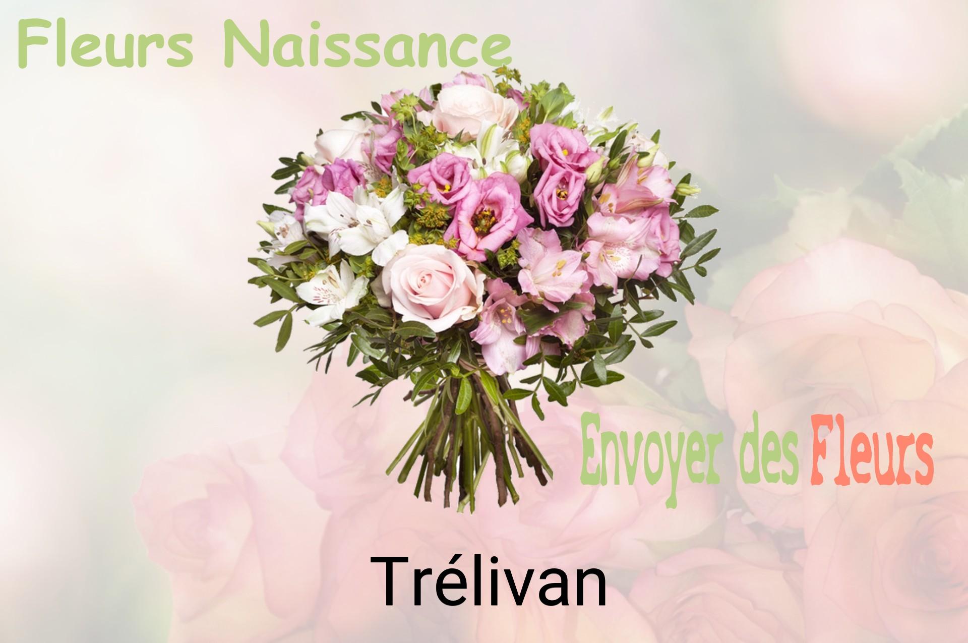 Bouquet de fleurs de naissance livré à Trélivan
