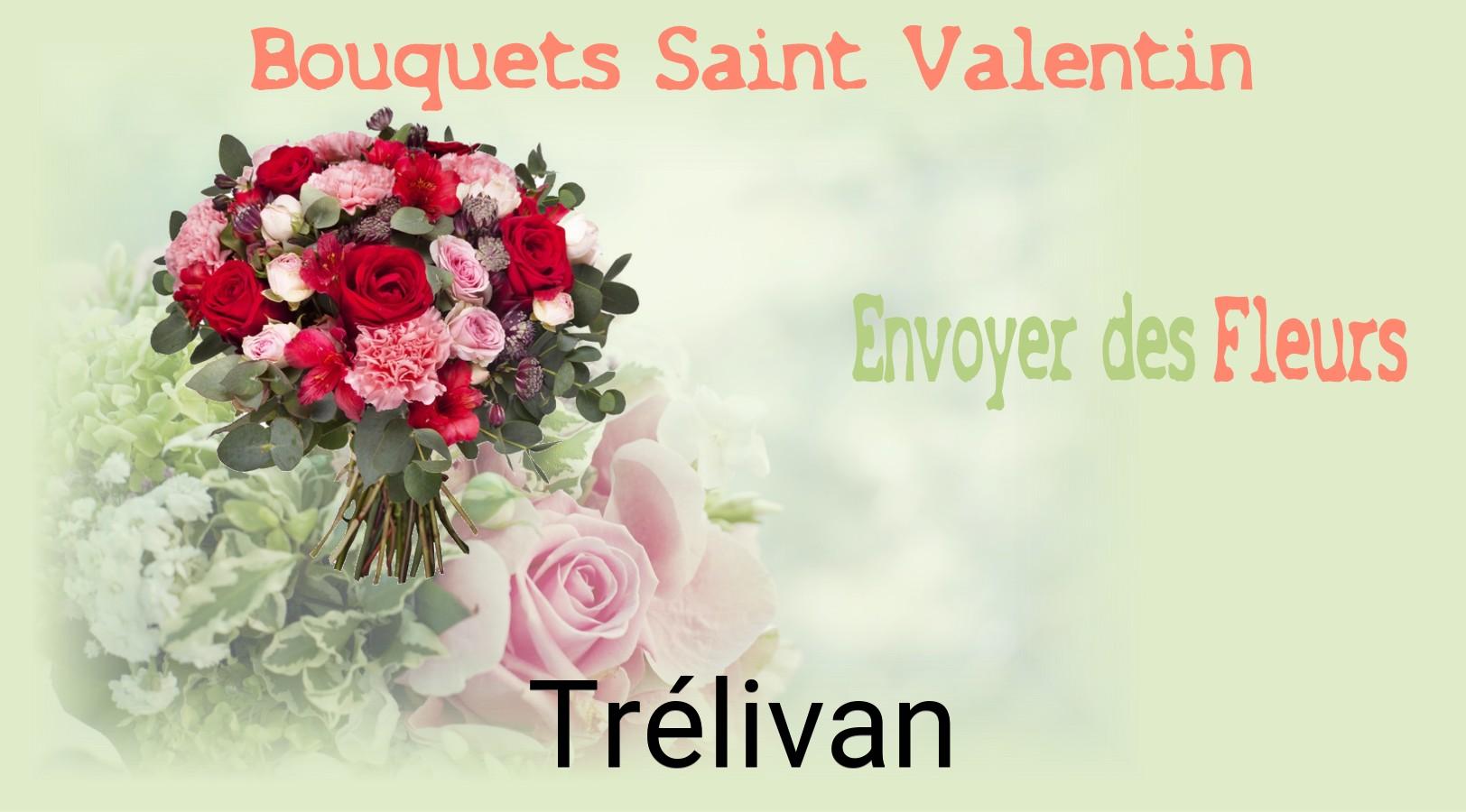 Roses de Saint-Valentin livrées à Trélivan