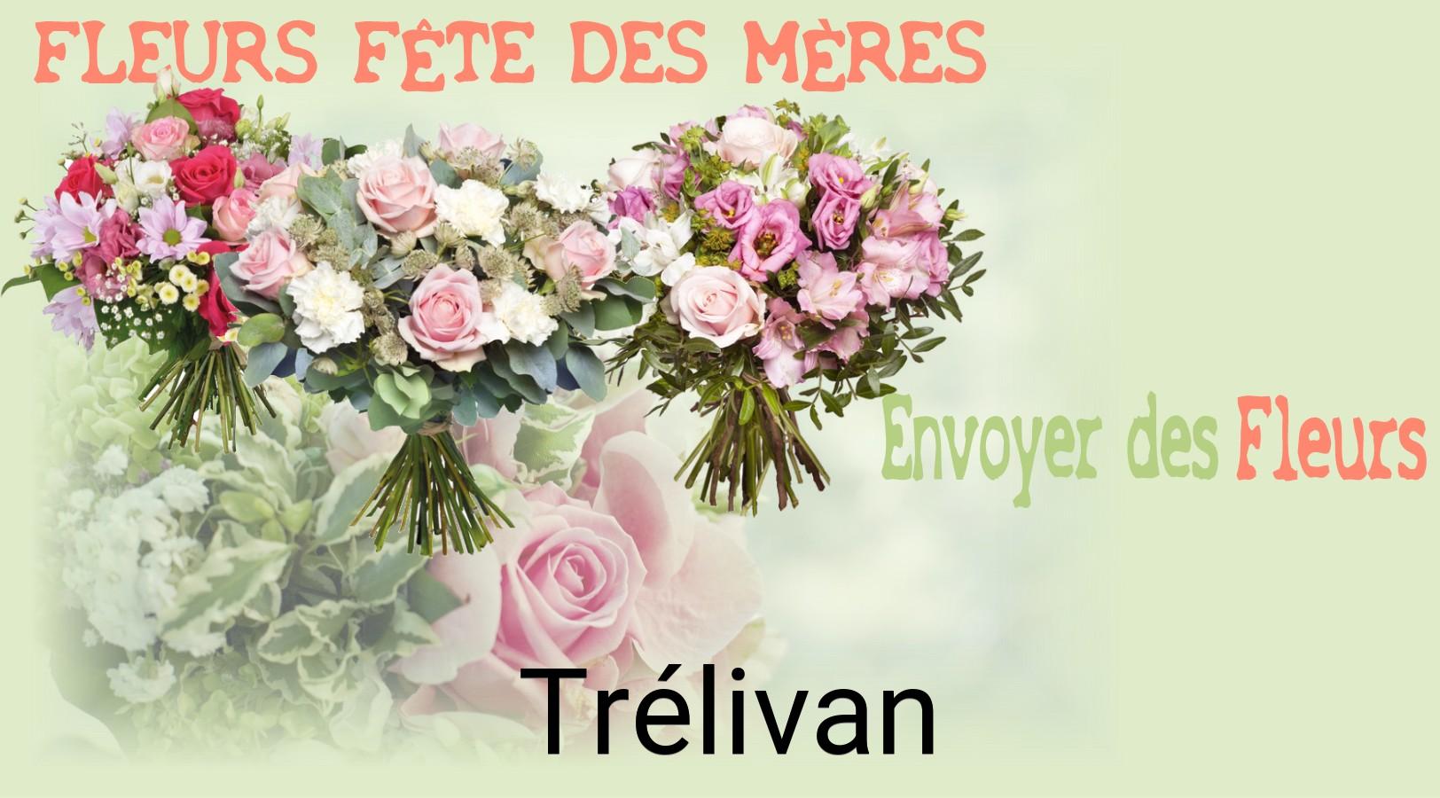 Bouquet de Fête des Mères livré à Trélivan
